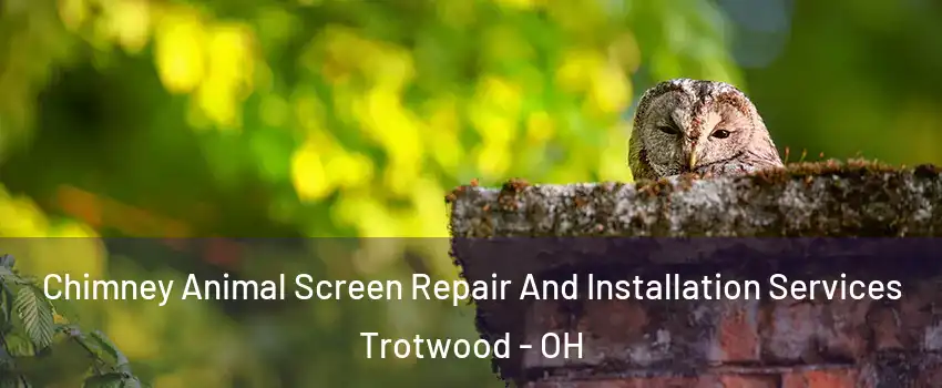  Chimney Animal Screen Repair And Installation Services Trotwood - OH