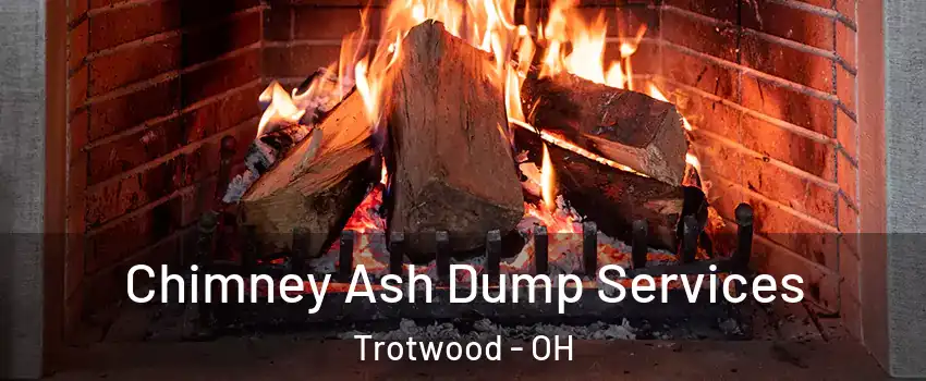  Chimney Ash Dump Services Trotwood - OH