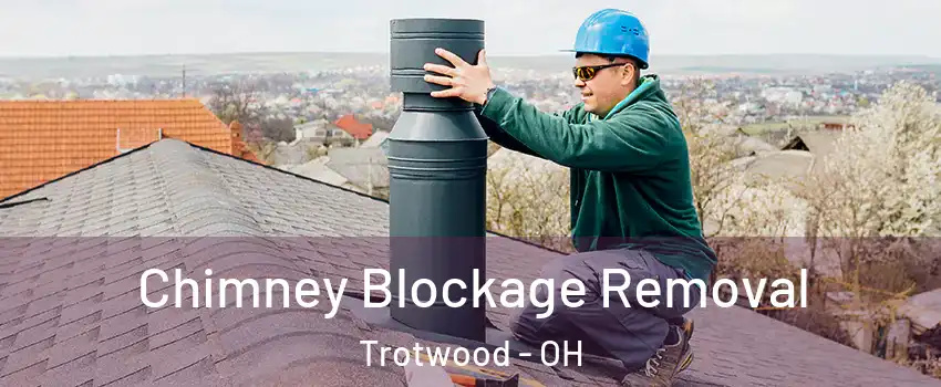  Chimney Blockage Removal Trotwood - OH