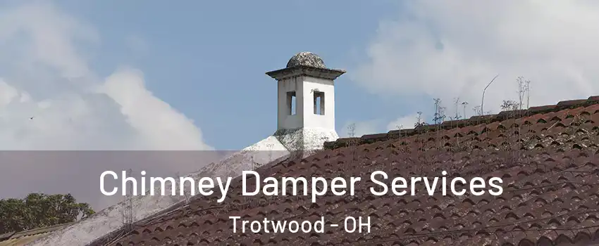  Chimney Damper Services Trotwood - OH