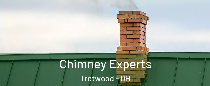 Chimney Experts Trotwood - OH