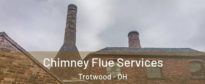  Chimney Flue Services Trotwood - OH