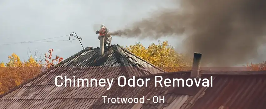 Chimney Odor Removal Trotwood - OH