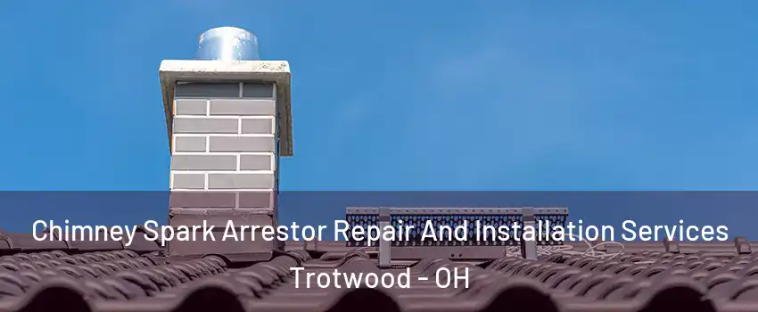  Chimney Spark Arrestor Repair And Installation Services Trotwood - OH