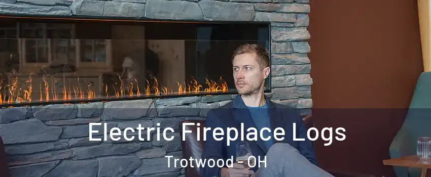  Electric Fireplace Logs Trotwood - OH