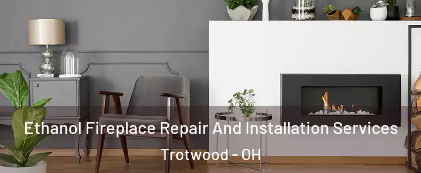  Ethanol Fireplace Repair And Installation Services Trotwood - OH