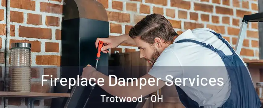  Fireplace Damper Services Trotwood - OH
