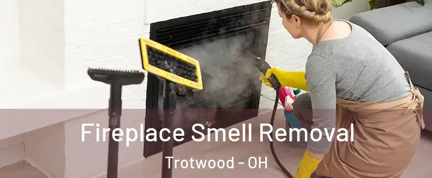  Fireplace Smell Removal Trotwood - OH