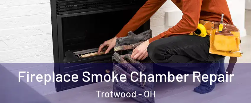  Fireplace Smoke Chamber Repair Trotwood - OH