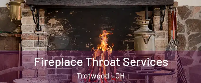  Fireplace Throat Services Trotwood - OH