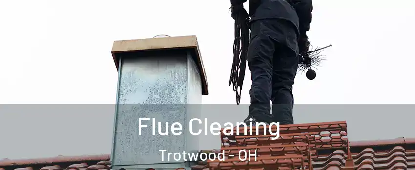  Flue Cleaning Trotwood - OH