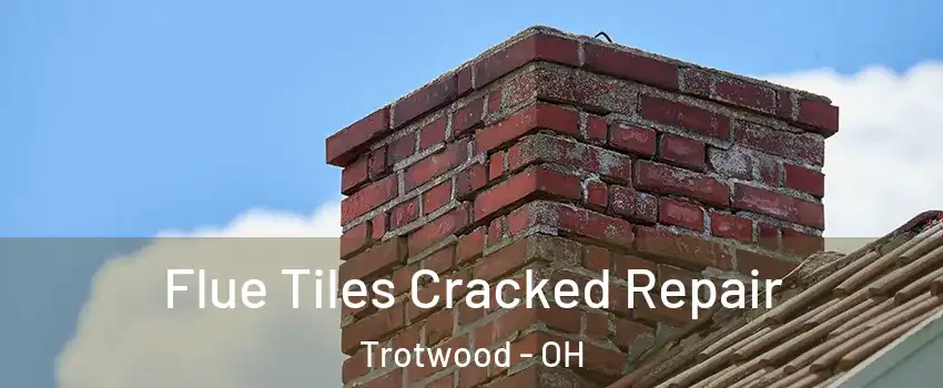  Flue Tiles Cracked Repair Trotwood - OH