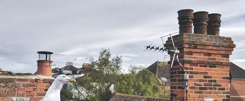 Chimney Cleaning And Restoration in Trotwood, Ohio
