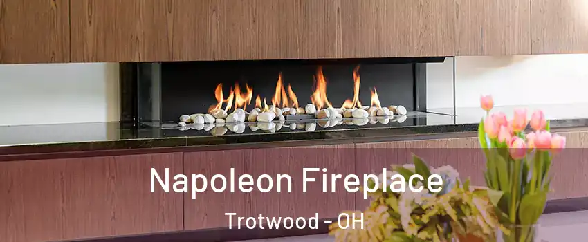  Napoleon Fireplace Trotwood - OH