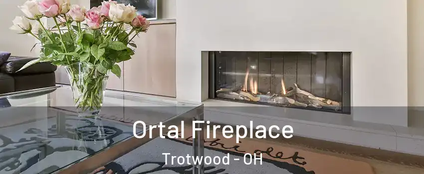 Ortal Fireplace Trotwood - OH