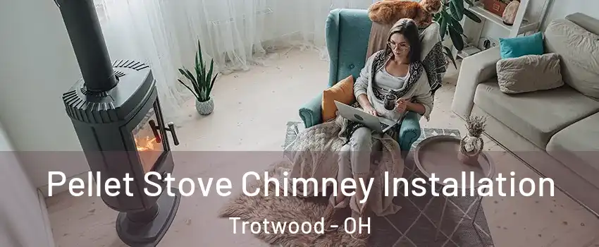  Pellet Stove Chimney Installation Trotwood - OH
